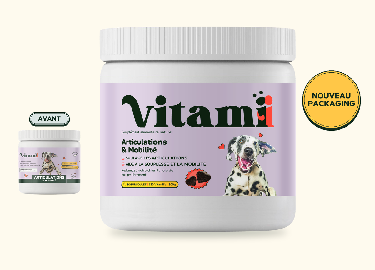Nouveau packaging Articulations et Mobilité Chien Vitamii, ancien pot à gauche et nouveau pot large au centre
