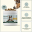 Friandises Naturelles Immunité et Anti-Démangeaisons 🐶🐶