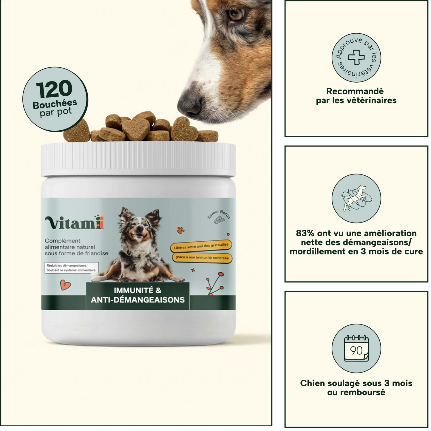 Friandises Naturelles Immunité et Anti-Démangeaisons 🐶🐶