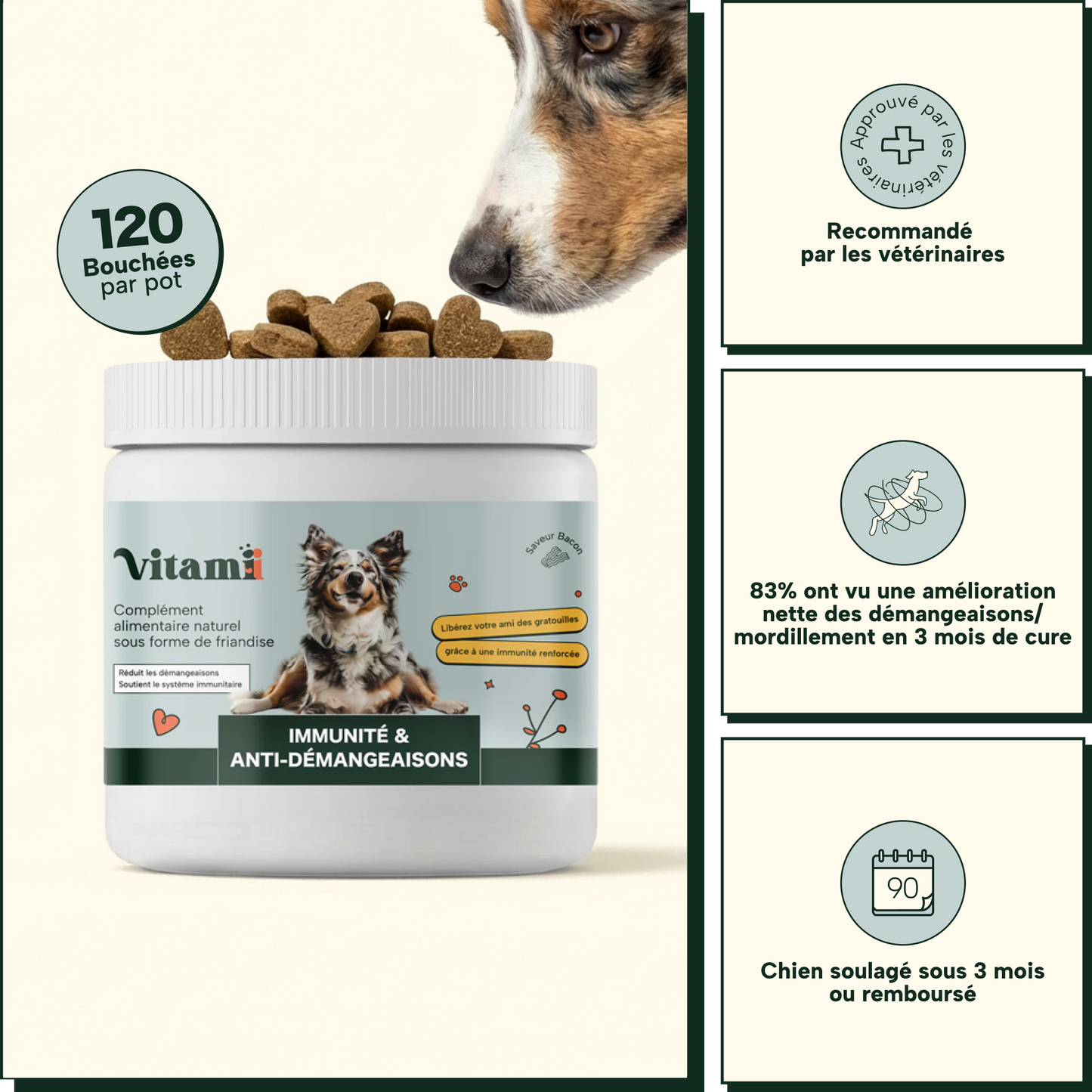 Friandises Naturelles Immunité et Anti-Démangeaisons 🐶🐶