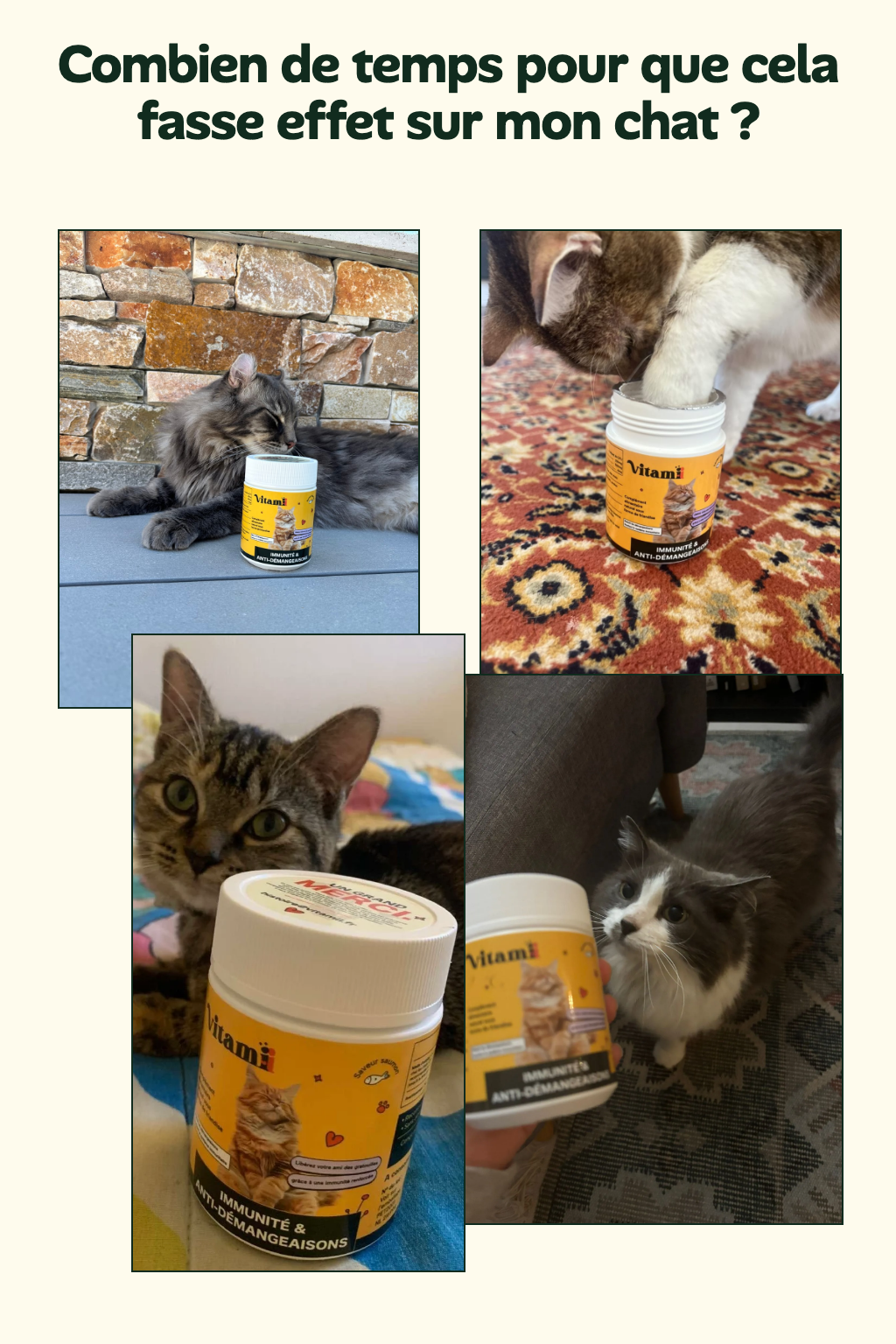 Quatre chats avec les friandises Immunité et Anti-Démangeaisons Vitamii