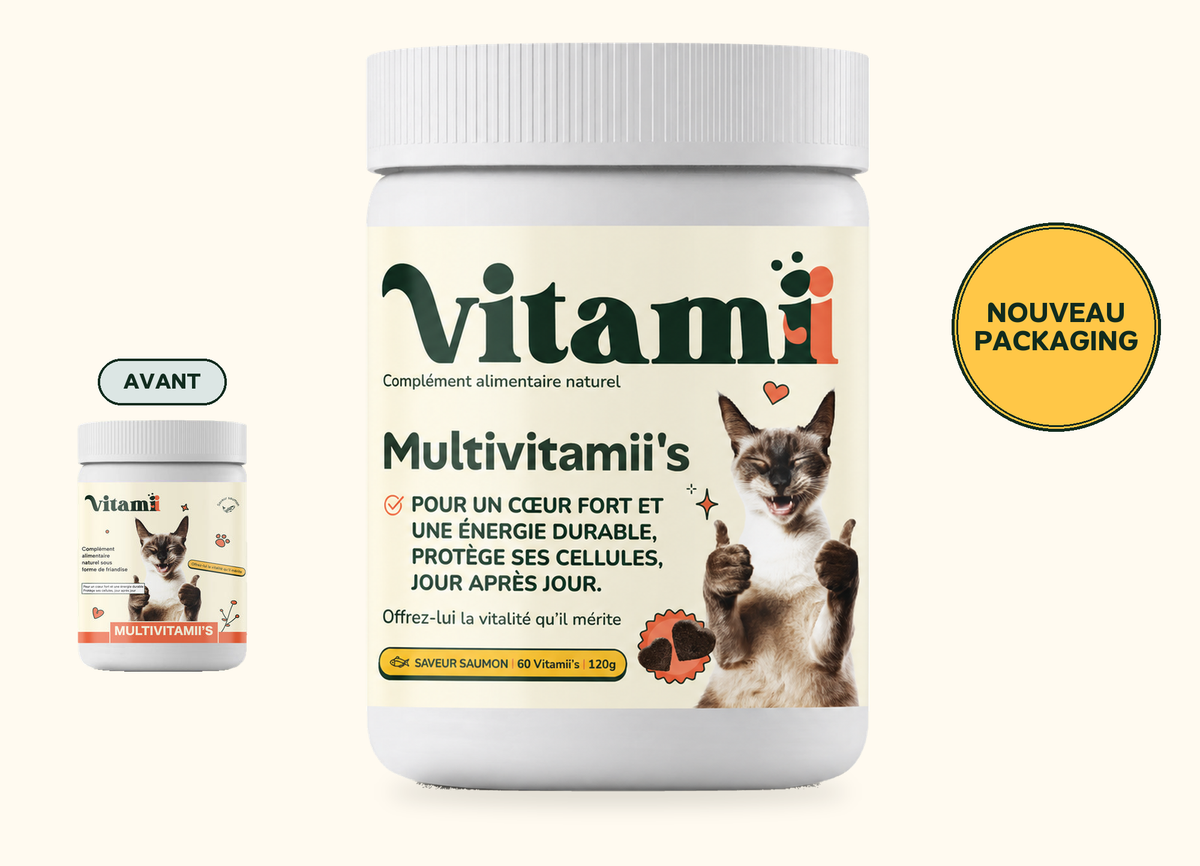 Friandises Naturelles Multivitamii's Chat