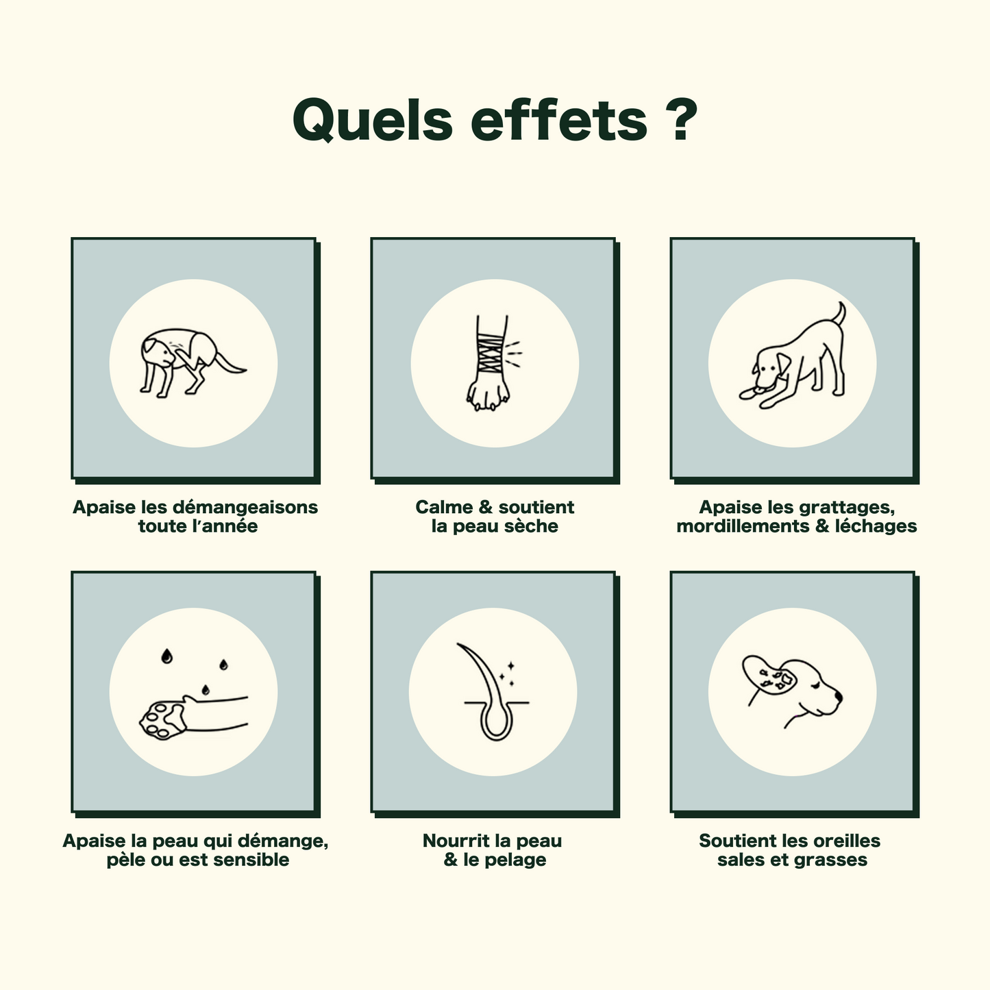 Friandises Naturelles Immunité et Anti-Démangeaisons 🐶🐶