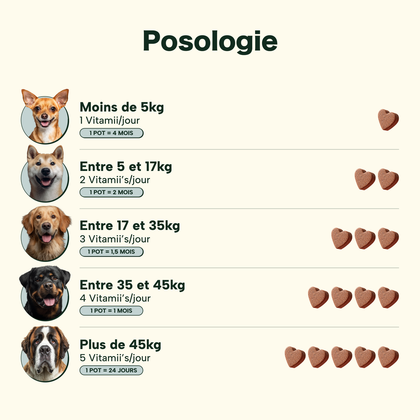 Friandises Naturelles Immunité et Anti-Démangeaisons 🐶🐶