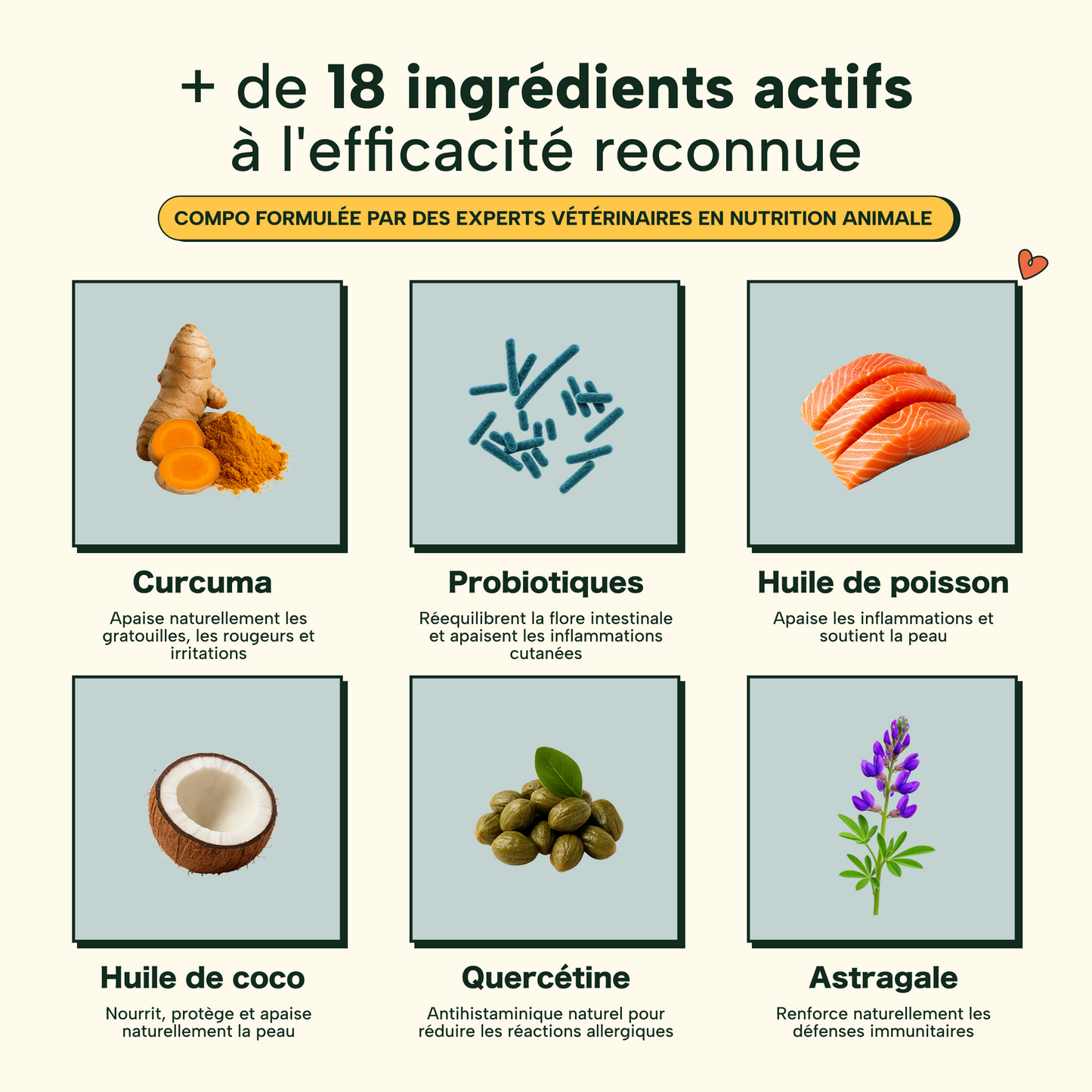 Friandises Naturelles Immunité et Anti-Démangeaisons 🐶🐶