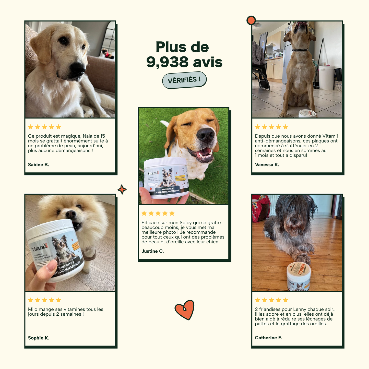 Friandises Naturelles Immunité et Anti-Démangeaisons 🐶🐶