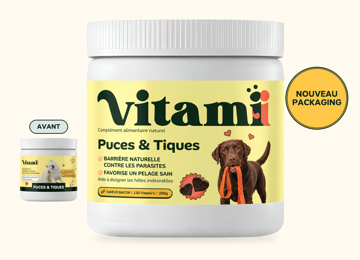 Friandises Naturelles Puces & Tiques