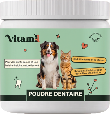 Poudre Dentaire