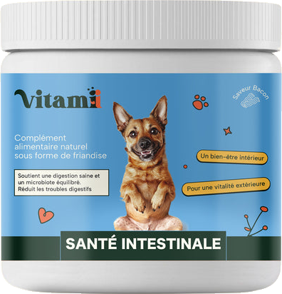 Santé Intestinale