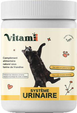 Système Urinaire
