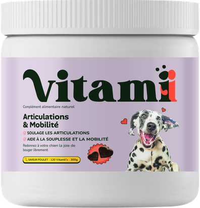 Pot Articulations & Mobilité pour chien