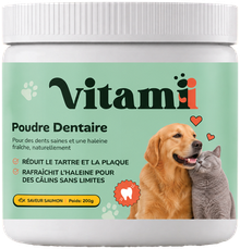 Poudre dentaire