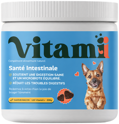 Santé Intestinale